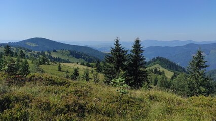 mountains in summer, carpathians, beautiful view of mountains and houses in mountains, countryside