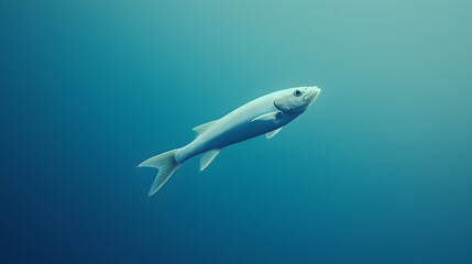 Fototapeta premium Sleek Silver Fish Swimming in Tranquil Oceanic Solitude