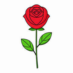 Naklejka premium Red rose isolated on white, red rose vector illustration, Red rose plant vector art, Red rose plant silhouette, flowers icon, rose line art, eps