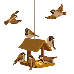 vector drawing bird feeder and sparrow birds, wooden bird house isolated at white background, hand drawn vector illustration
