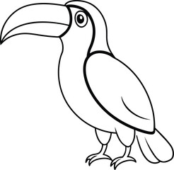 Toucan outline or line art or sketch silhouette vector illustration with smooth lines white background.