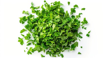 Obraz premium abstract parsley ball on a white background