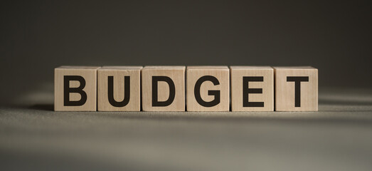 BUDGET word written on wood block