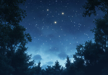 Starry Night Sky Over Forest Canopy