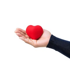 Obraz premium hand holding a small red heart isolated on white background