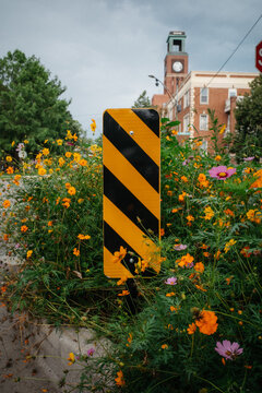 Sign and Plants