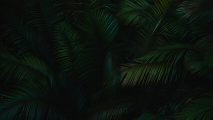 A deep evergreen rainforest, jungle, foliage, tropical wild forest, greenery canopy view, a top view or close up of tree in penang hill, concept of ecology, Earth day, biodiversity, mystery background