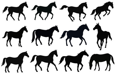 Collection of horse silhouettes set vector illustration. isolated on white background
