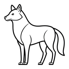 wolf isolated on white