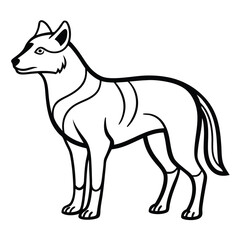 illustration of a fox, wolf isolated on white, animal outline.