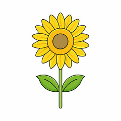 Sunflower isolated on white, sunflower vector illustration, sunflower plant vector art, sunflower plant silhouette, flowers icon, rose line art, eps