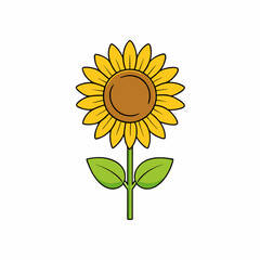 Sunflower isolated on white, sunflower vector illustration, sunflower plant vector art, sunflower plant silhouette, flowers icon, rose line art, eps