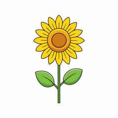 Sunflower isolated on white, sunflower vector illustration, sunflower plant vector art, sunflower plant silhouette, flowers icon, rose line art, eps