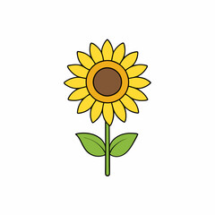Sunflower isolated on white, sunflower vector illustration, sunflower plant vector art, sunflower plant silhouette, flowers icon, rose line art, eps