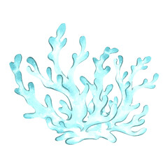 Obraz premium Underwater aqua coral. Hand drawn watercolor illustration isolated of background. Oceanic reef animals, seaweed. Marine tropical theme. Exotic nautical design Clipart for postcard, printing, sticker.