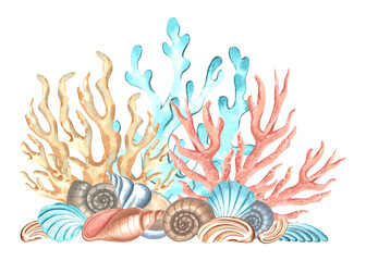 Corals with seashells underwater animals. Hand drawn watercolor illustration isolated. Oceanic reef, seaweed. Marine tropical theme. Exotic nautical design. Clipart for postcard, print, logo, sticker.