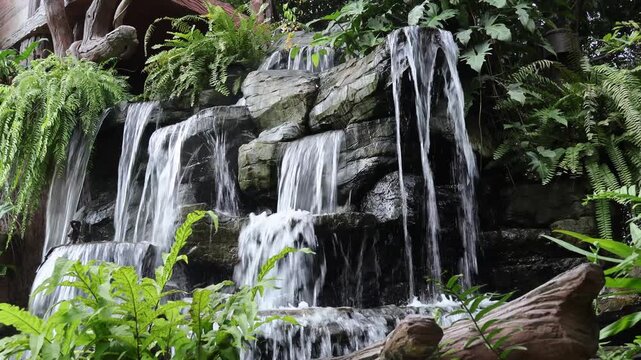 Footage of cascading garden waterfalls surrounded with ferns