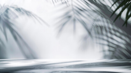 Leaves of houseplants with shadows on white wall.  Copy space for text.