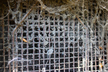 Window with iron bars covered with spider web.