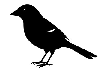 Paradise tanager silhouette black color vector art illustration