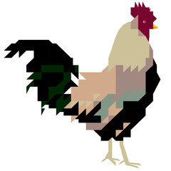 Rooster
