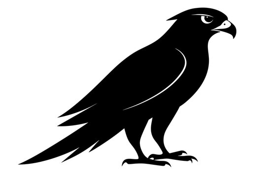 recommend clip art: Peregrine falcon bird silhouette black color vector art illustration 