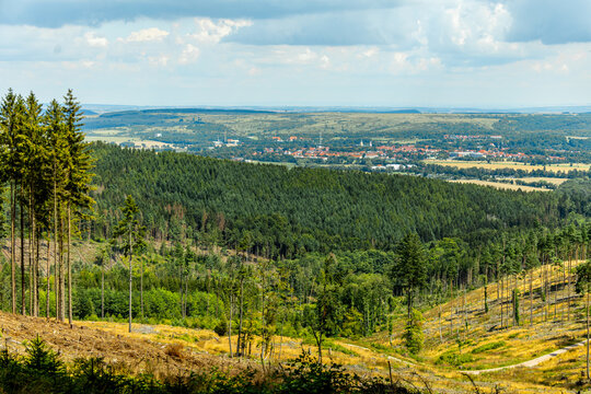 Kleine sommerliche Wanderung rund um Luisenthal im wundersch&ouml;nen Th&uuml;ringer Wald - Th&uuml;ringen - Deutschland