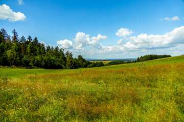 Kleine sommerliche Wanderung rund um Luisenthal im wunderschönen Thüringer Wald - Thüringen - Deutschland