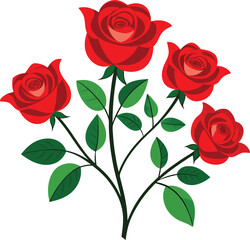 Fototapeta premium Rose vector illustration graphic Art design.