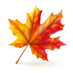 Obraz premium A maple leaf isolated on a white background with multicolored fallen leaves.