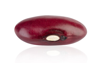 Red bean isolated on white. Full depth of field