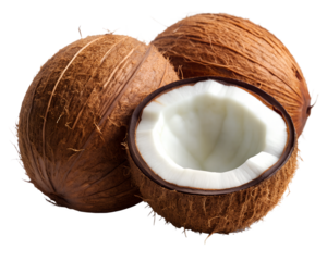 coconut isolated on transparent background png