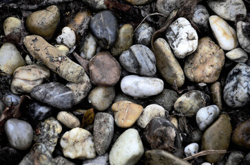 Steine am Boden
