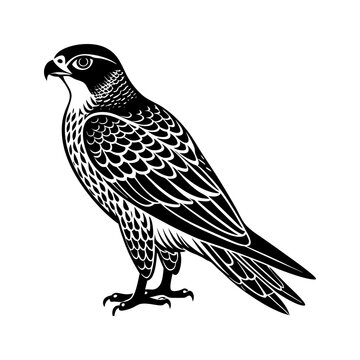recommend clip art: Download falcon silhouette vector illustration SVG & PNG File