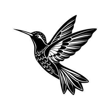 black hummingbird flying on white background clip art preview