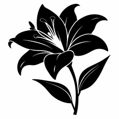 Daylily Black silhouette