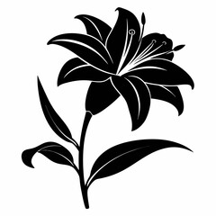 Daylily Black silhouette