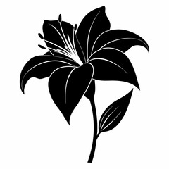 Daylily Black silhouette