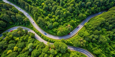 Aerial view of vehicles winding through dense forest on a scenic road