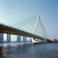 Fototapeta premium The Netherlands Ingenious Erasmus Bridge in Rotterdam