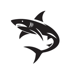 illustration of a shark , isolated on white background
