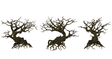 Three gnarled, dead trees on transparent background, Halloween, spooky, haunted forest, deadwood, horror, fantasy