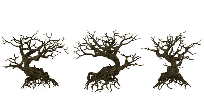 Three gnarled, dead trees on transparent background, Halloween, spooky, haunted forest, deadwood, horror, fantasy