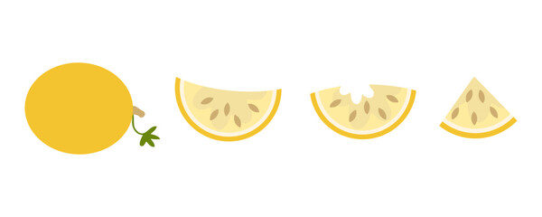 Simple vector melon and slices clipart collection. Perfect art for stickers, poster, label, sale, card. Hand drawn illustration for decor and design.
