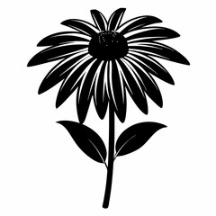 Coneflower Black silhouette