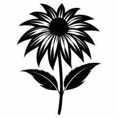 Coneflower Black silhouette