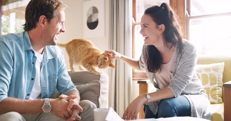 Home, couple and happy with cat on couch for friendship, bonding and trust with care and support....