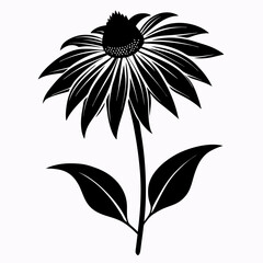 Coneflower Black silhouette