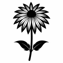 Coneflower Black silhouette