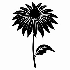 Coneflower Black silhouette